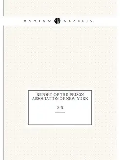 Report of the Prison Association of New York. 5-6