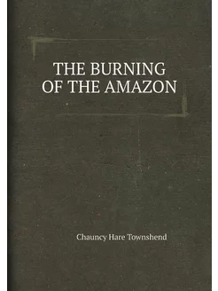 THE BURNING OF THE AMAZON