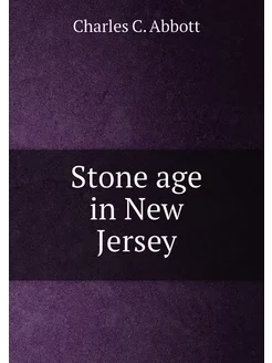 Stone age in New Jersey