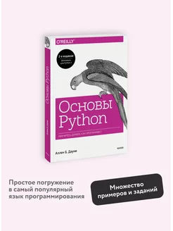 Основы Python. Научитесь думать как программист