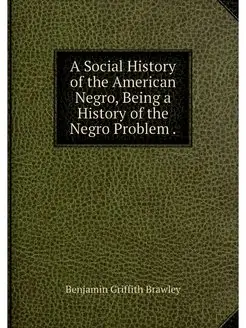 A Social History of the American Negr