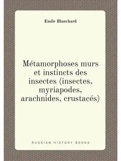 Metamorphoses murs et instincts des i