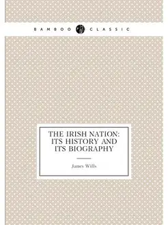 The Irish Nation Its History and Its