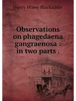 Observations on phagedaena gangraenos