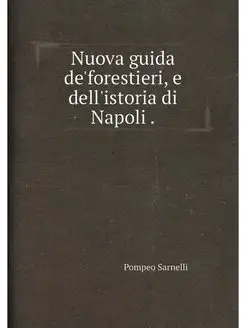 Nuova guida de'forestieri, e dell'istoria di Napoli