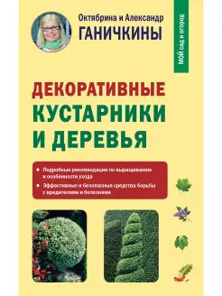 Декоративные кустарники и деревья