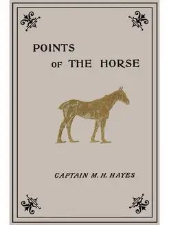 Points of the Horse