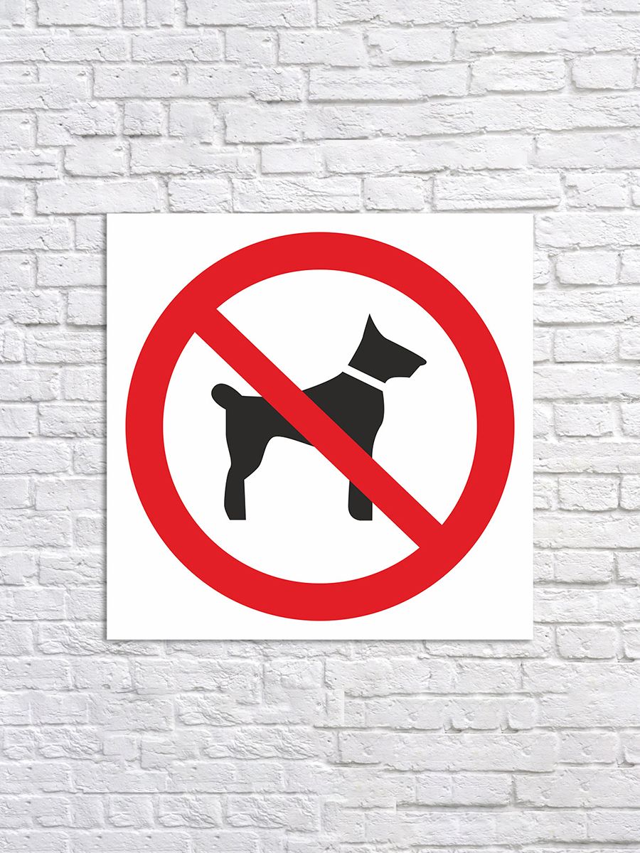 Перечеркнутая собака в круге. Вход с собаками запрещен. Вход с животнымиапрещен. Вход с санками запрещен. Вход с собаками запрещен табличка.