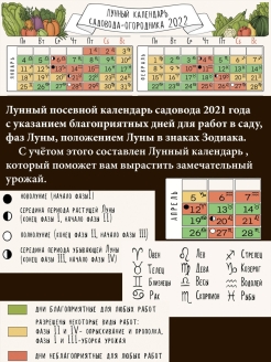 Лунно посевной календарь садовода огородника 2023. Лунный посевной календарь на 2023 год садовода и огородника. Посевной календарь на 2023 для огородников. Лунный календарь на 2023 год садовода и огородника. Лунный календарь 2023 для огородников.