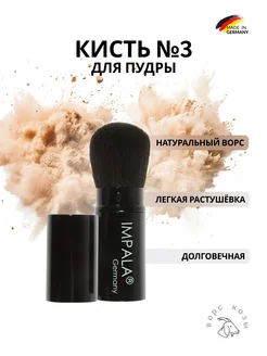 Кисть для макияжа в футляре, MAKE UP BRUSH № 3