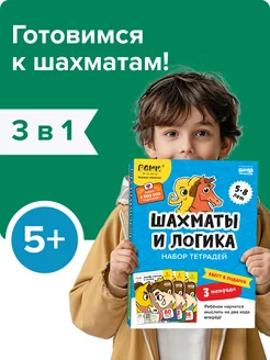 Набор из 3 рабочих тетрадей Реши пиши Основы шахмат и логика