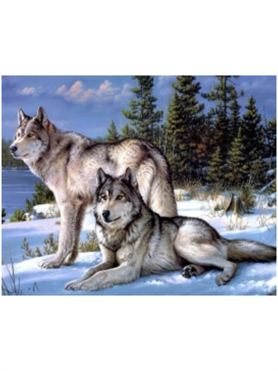 Алмазная мозаика 5д волк