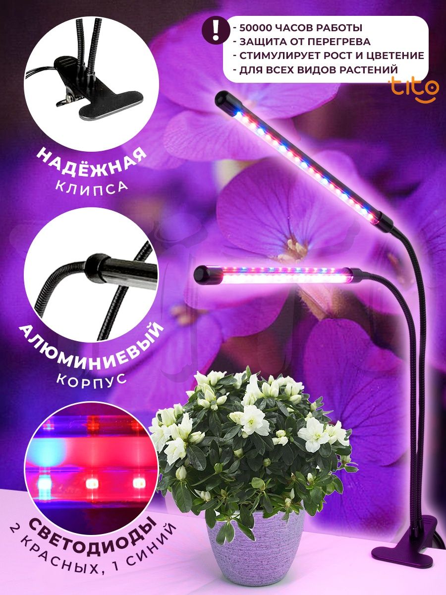 Лампа для цветов фиолетовая купить доставка цветов в мордовии