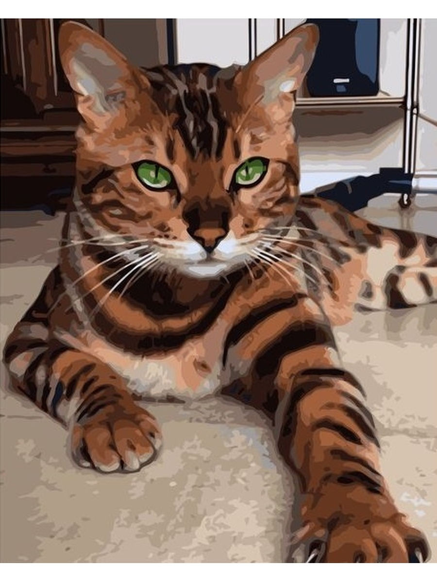 Кот тигрового окраса