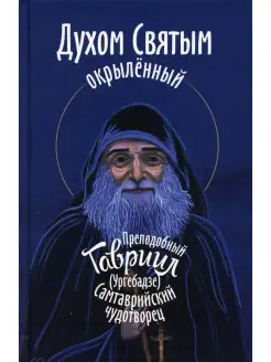 Духом Святым окрыленный. Преподобный Гавриил (Ургебадзе)