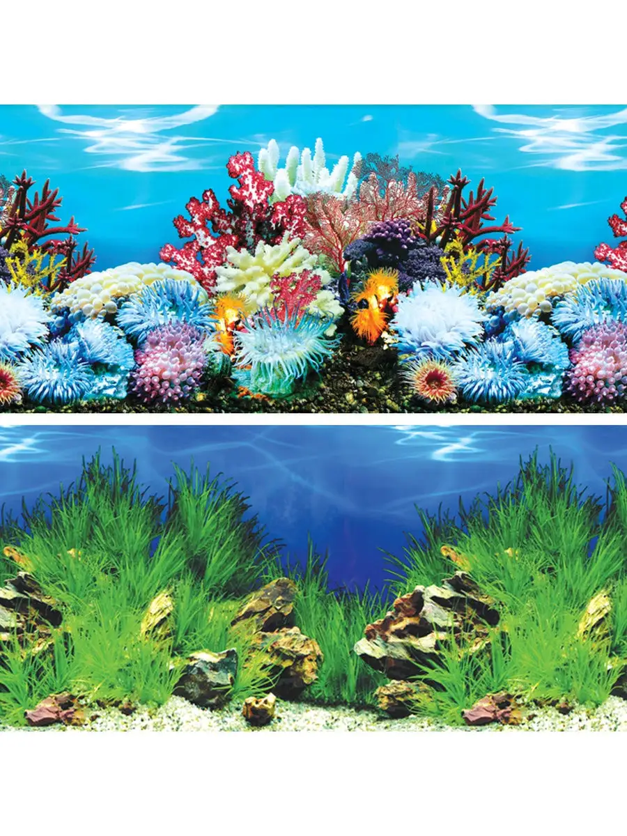 Объемный задний фон 3D для аквариума своими руками