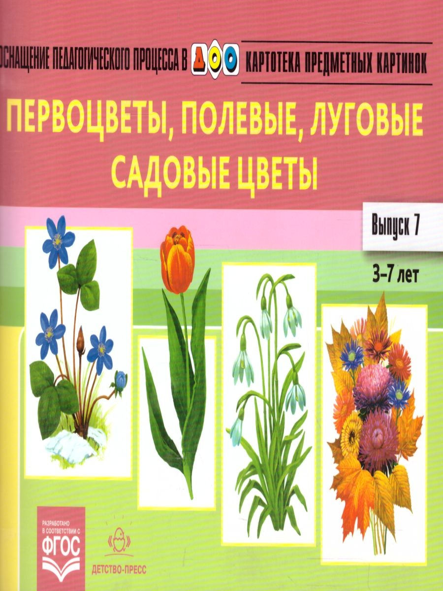 Фгос растения. Дидактический материал первоцветы. Луговые цветы дидактический материал. Дидактический материал садовые цветы. Первоцветы Нищева.