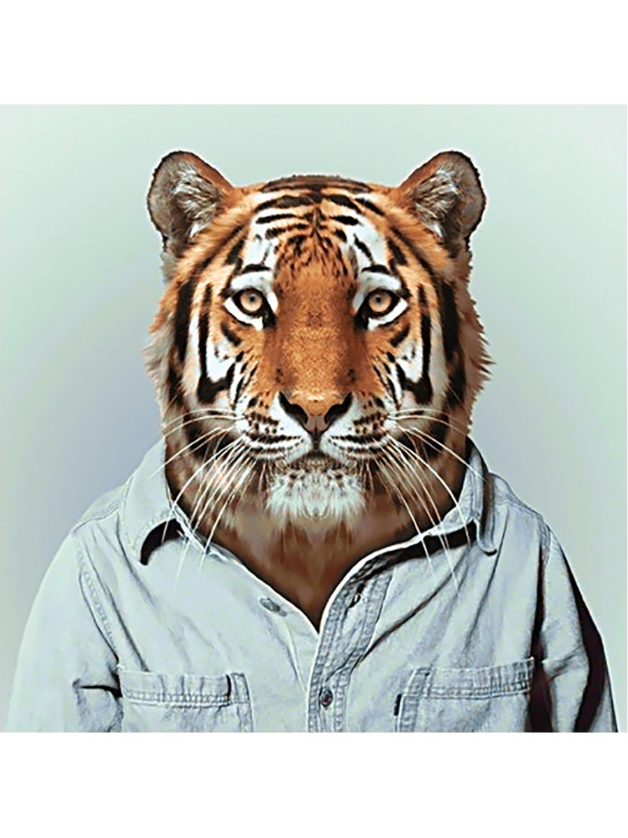Тигр в одежде арт