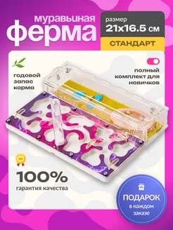 Стандартная муравьиная ферма формикарий