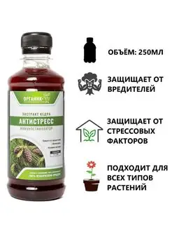 Экстракт кедра 0,25л