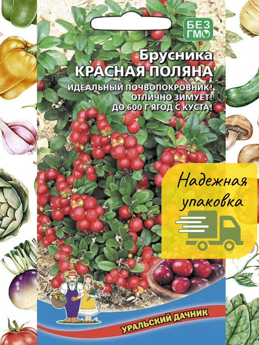 Уральский дачник каталог. Семена брусники. Семена цветов Уральский Дачник. Уральский Дачник интернет магазин. Журнал Уральский Дачник лунный.