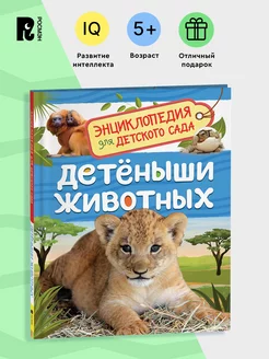 Книга Детеныши животных. Энциклопедия для детского сада 5+