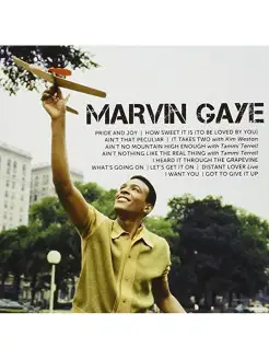 Marvin Gaye - Icon